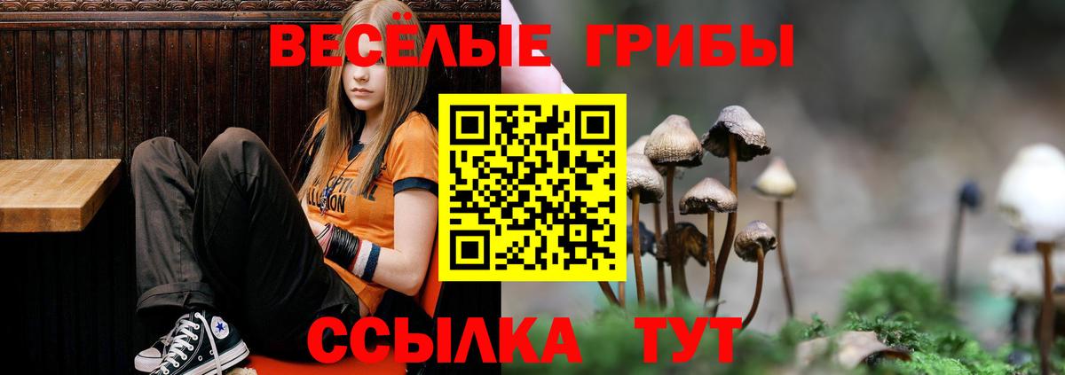 Псилоцибиновые грибы Magic Shrooms  Вход с VPN  Гудермес 