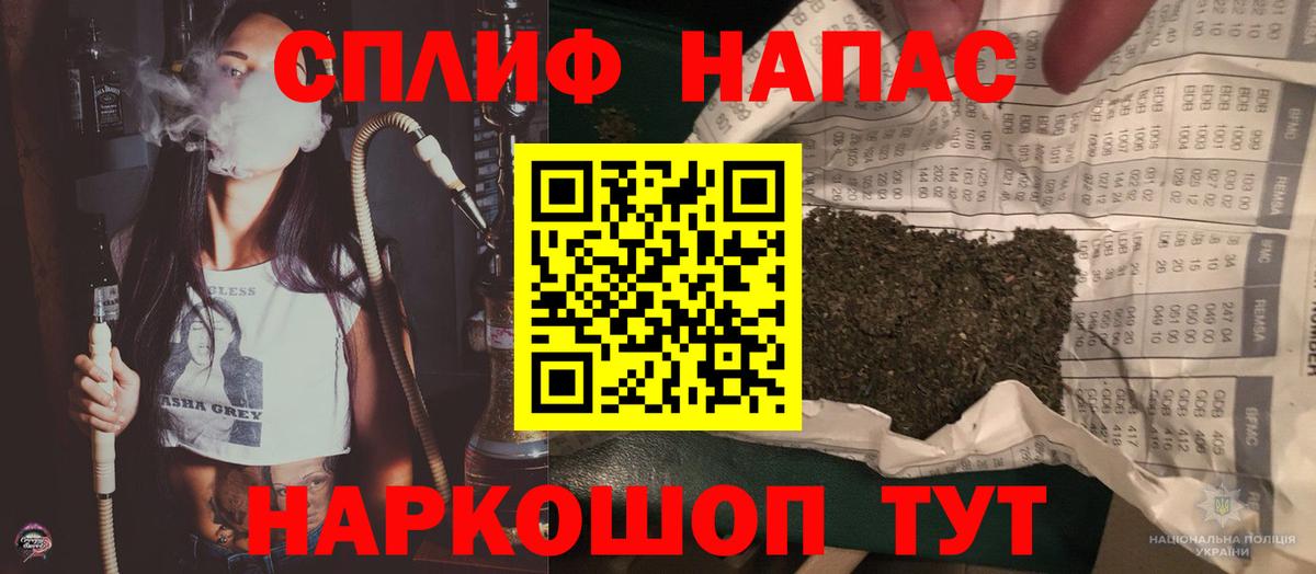 Каннабис конопля Гудермес